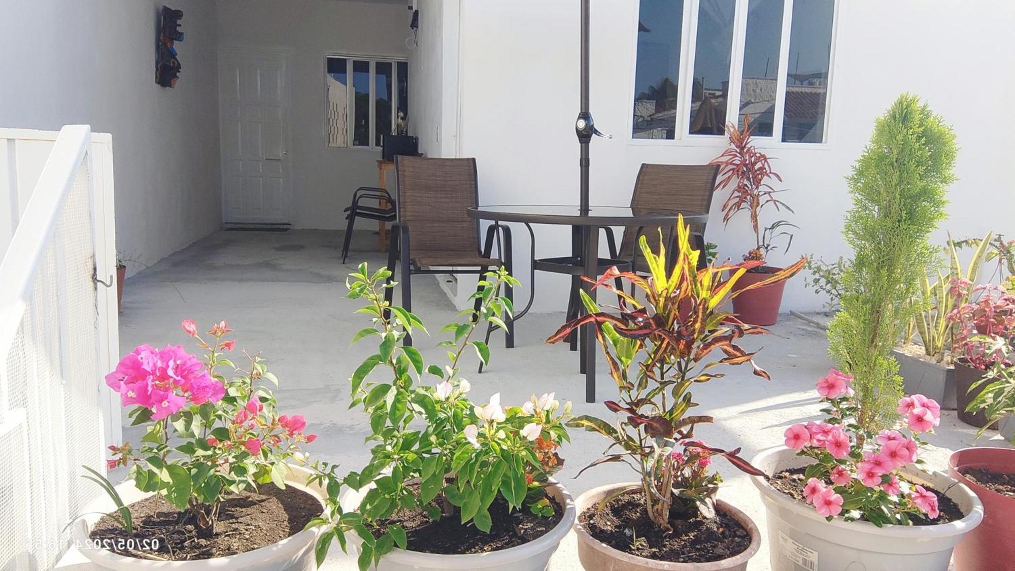 Tierra Maya Hotell Playa del Carmen Exteriör bild